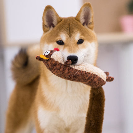 Dog Plush Toys