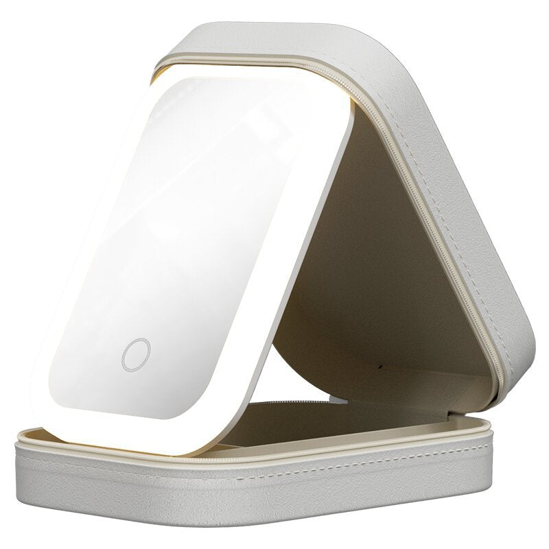 Makeup Storage Box With LED Light Mirror - Endless Pawsibilities