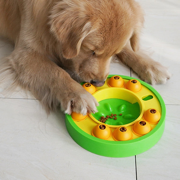 Dog Puzzle Toys - Endless Pawsibilities