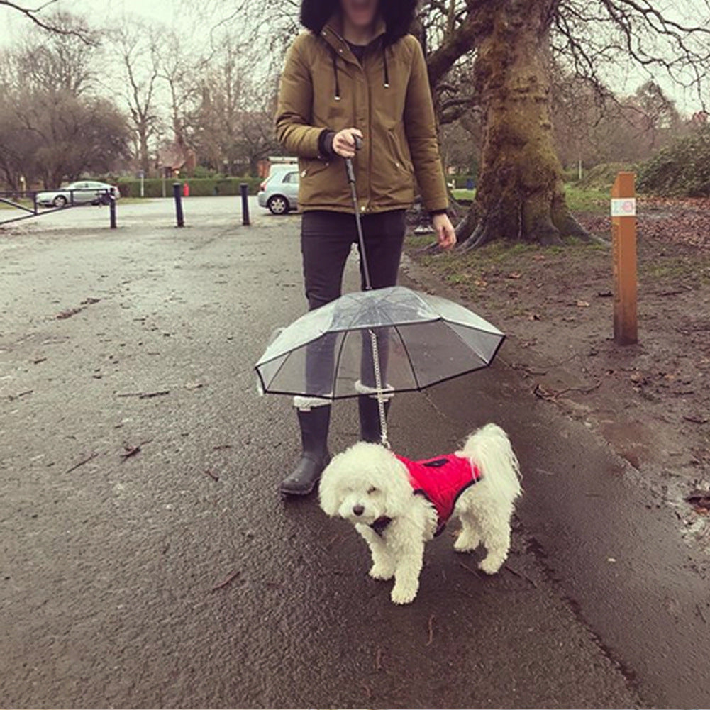 Transparent Pet Umbrella - Endless Pawsibilities