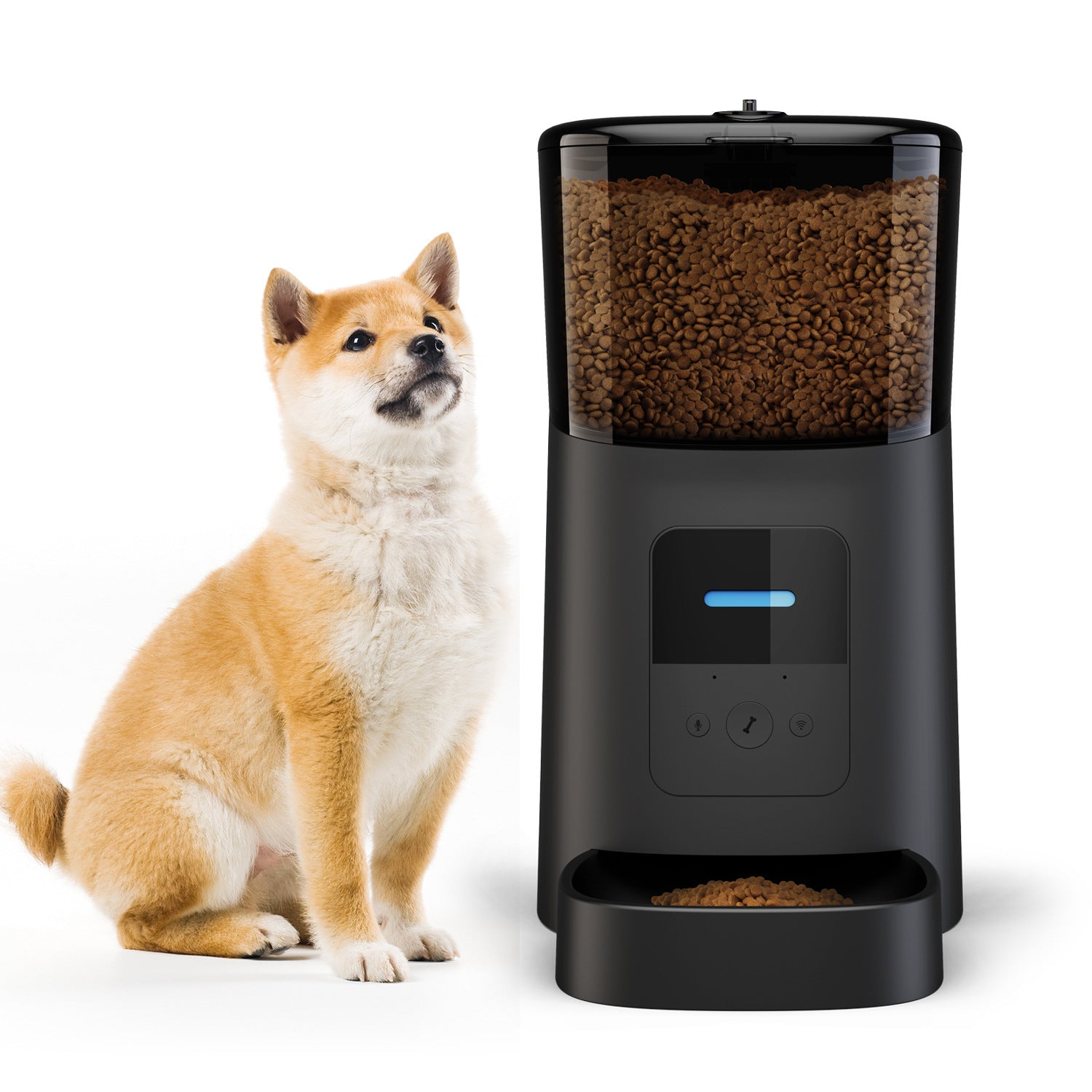 Pet feeder automatic - Endless Pawsibilities