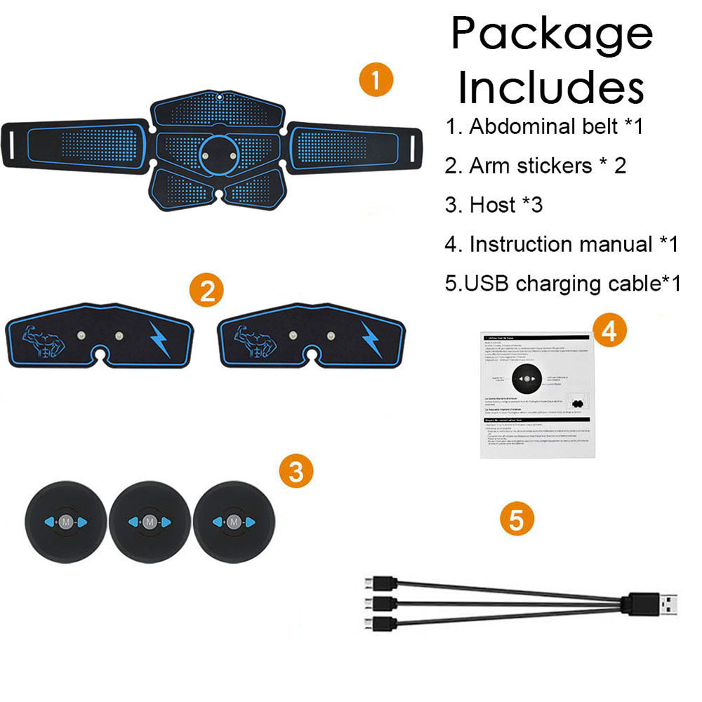 Abdominal muscle training with EMS fitness equipment - Endless Pawsibilities