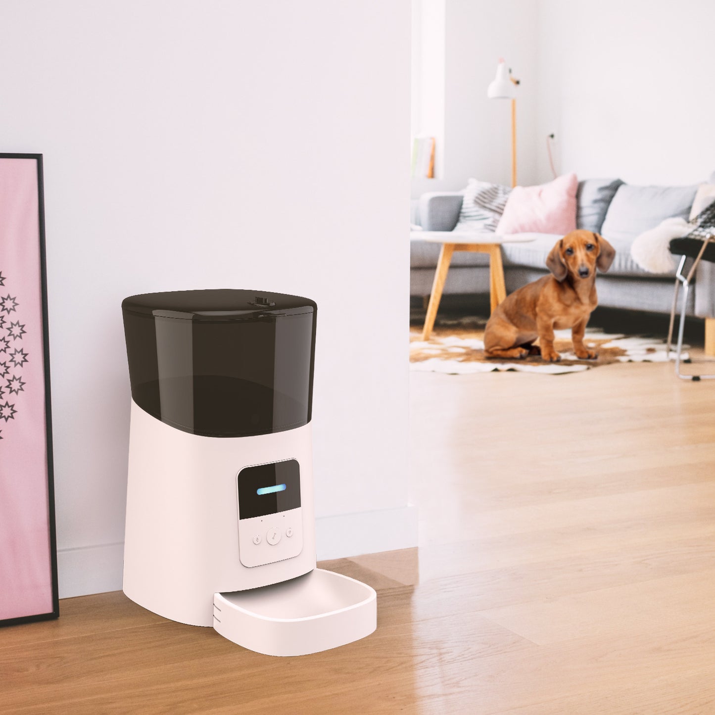 Pet feeder automatic - Endless Pawsibilities
