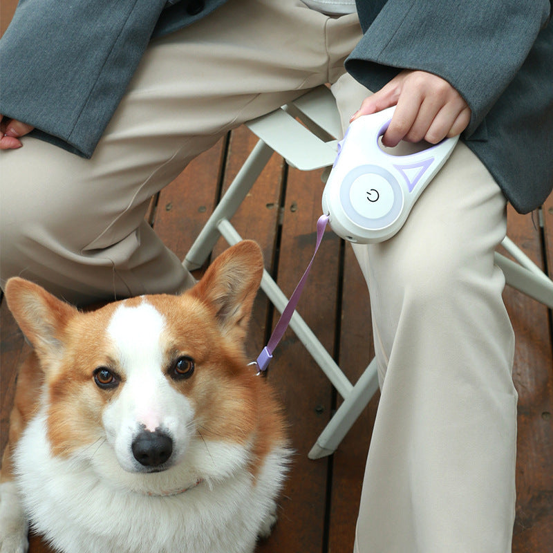 Retractable Leash And Dog Collar - Endless Pawsibilities