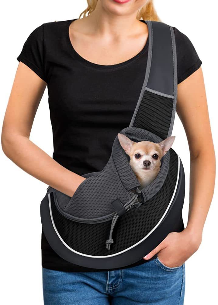 Carrying Pets Bag - Endless Pawsibilities Carrying Pet Bag