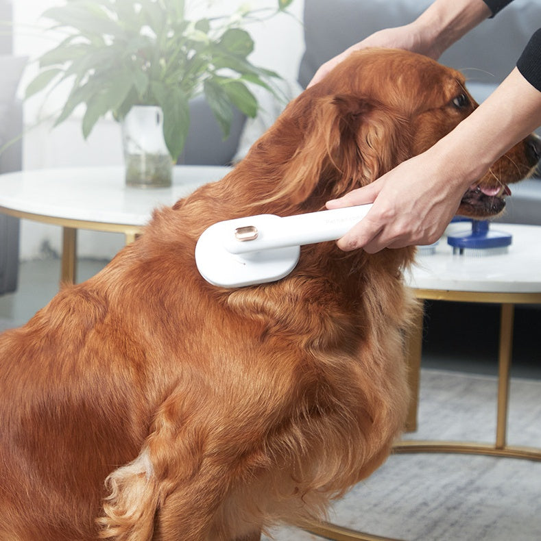 Pet Comb To Remove Floating Hair Brush - Endless Pawsibilities