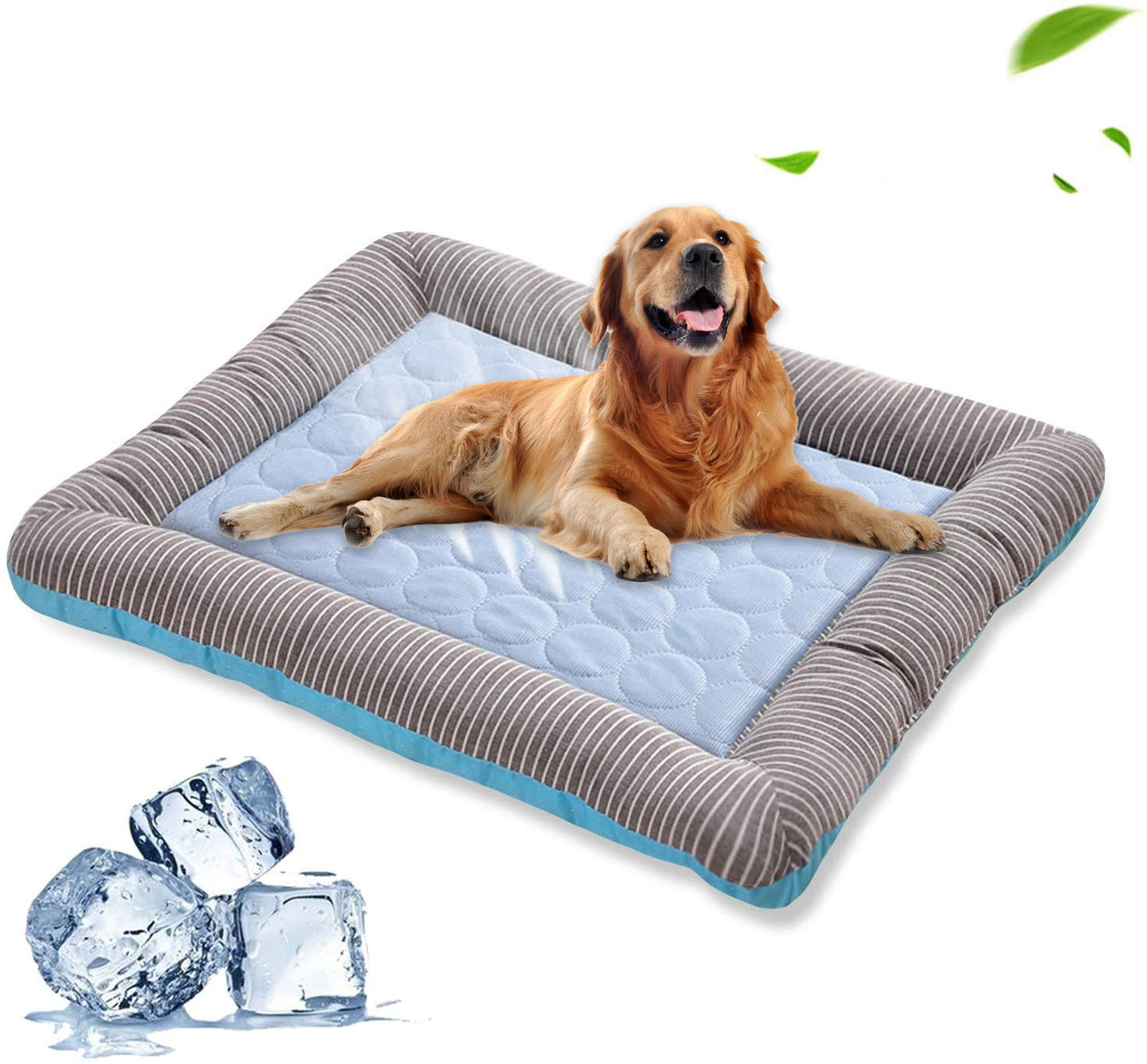 Pet Cooling Pad Bed - Endless Pawsibilities