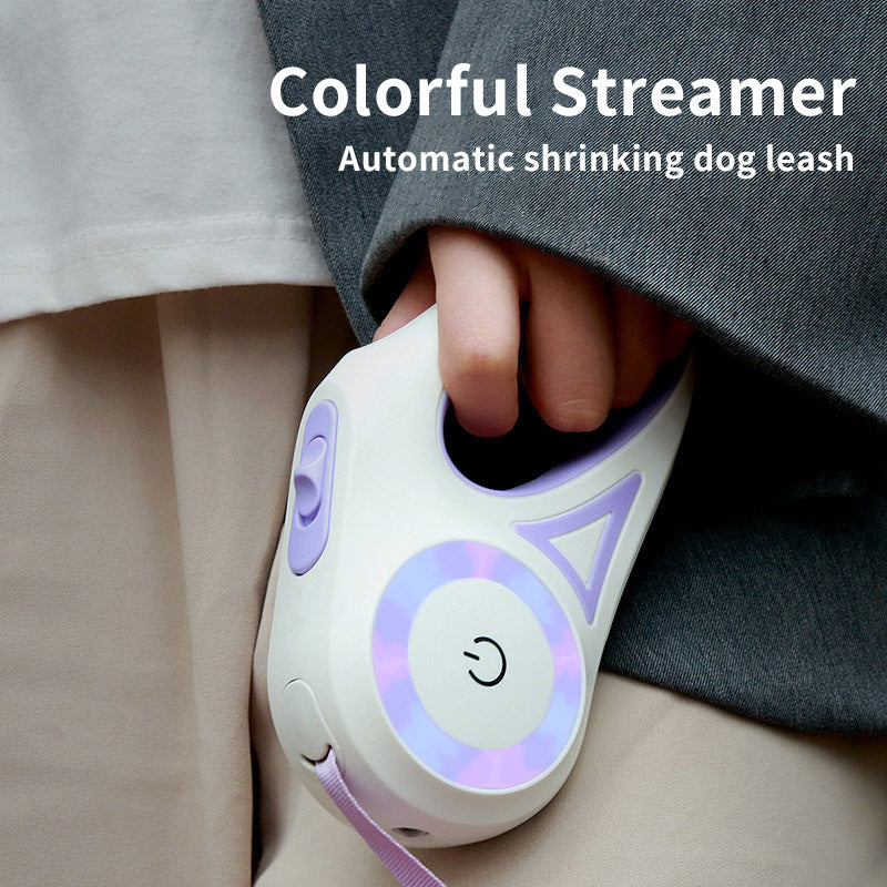 Retractable Leash And Dog Collar - Endless Pawsibilities