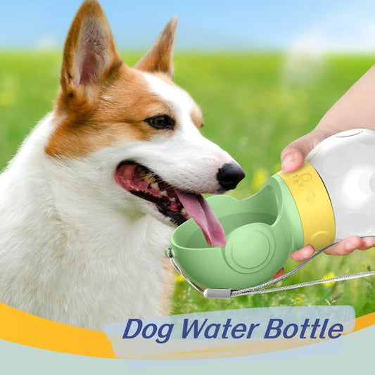 Portable Dog Water Bottle - Endless Pawsibilities