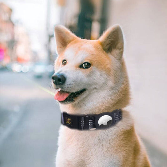 Airtag Dog Collar